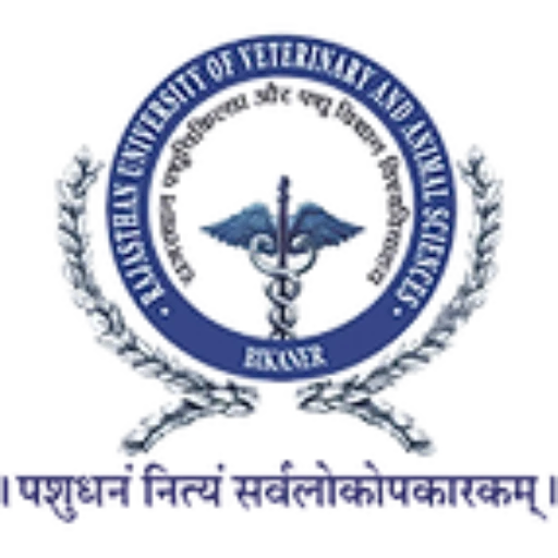 JSM Logo