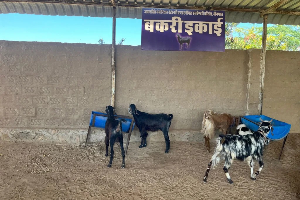 Animal Farm Unit. – jsmbhinmal.com